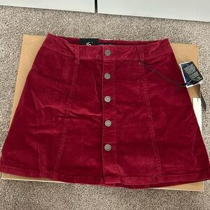 Celebrity Pink Velvet Skirt